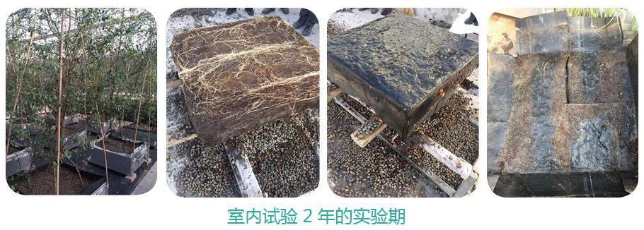 SBS銅胎基耐根穿刺防水卷材2.jpg